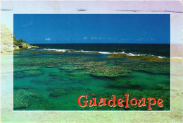 CPM Real Photo On Postcard GUADELOUPE (839518) - Autres & Non Classés