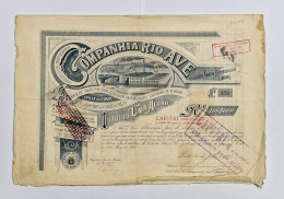 PORTUGAL-PORTO - Companhia Rio Ave -Titulo D'Uma Acção Rs.100$000 - Nº 359 - 20JUL1893 - Textiles