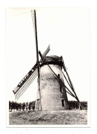 Ertvelde  Evergem   FOTO Van De Stenen Molen   1979   MOLEN MOULIN - Evergem