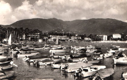 Cavalaire Sur Mer - Vue Sur Le Port - Bateaux à Moteur Hors Bord - Cavalaire-sur-Mer