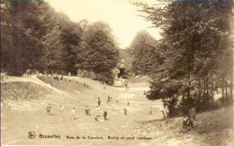 BRUXELLES - Bois De La Cambre - Ravin Et Pont Rustique - Auderghem - Oudergem