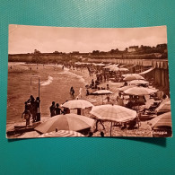 Cartolina Trani - Spiaggia. Viaggiata 1956 - Trani