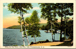 New Hampshire Lake Winnepesaukee Alton Bay Along The East Shore Curteich - White Mountains