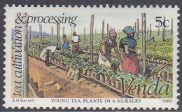 Venda 1980 - Tea Cultivation And Processing: Young Tea Plants In A Nursery - Mi 26 ** MNH [1691] - Agriculture