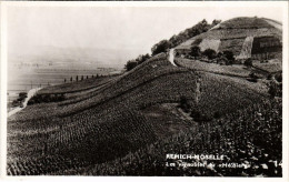 CPA AK Remich-Moselle Les Vignobles Du He'bierg LUXEMBURG (803521) - Remich