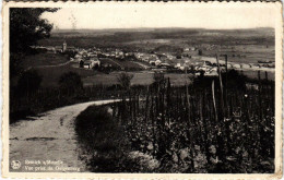 CPA AK Remich-Moselle Vue Prise Du Galgenberg LUXEMBURG (803524) - Remich