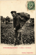 Delcampe - CPA PITHIVIERS-en-GATINAIS Le Safran Un Safranier (860548) - Pithiviers