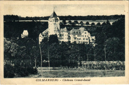 CPA AK Colmarberg Chateau Grand-ducal LUXEMBURG (803637) - Colmar – Berg