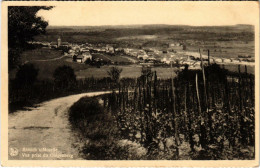 CPA AK Remich S/Moselle Vue Prisese Du Galgenberg LUXEMBURG (803700) - Remich