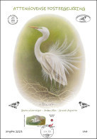 CS/HK - A4 - MYSTAMP° - Cercle D'Ottoncourt/Attenhovense Postzegelkring - Grande Aigrette/Grote Zilverreiger - BUZIN - Covers & Documents