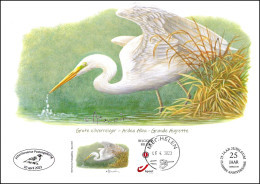 CS/HK - A5 - MYSTAMP° Cercle D'Ottoncourt/Attenhovense Postzegelkring - Grande Aigrette/Grote Zilverreiger - BUZIN - RR - Storia Postale