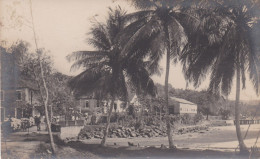 RPPC - PORTUGAL - SAO TOME E PRINCIPE - OLD PORTUGUESE COLONY - Sao Tome And Principe