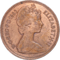 Monnaie, Grande-Bretagne, Penny, 1983 - 1 Penny & 1 New Penny