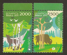 BIELORRUSIA  - EUROPA 2011 -TEMA ANUAL  " BOSQUES".- SERIE 2 V:  -  DENTADOS  (PERFORATED) - 2011