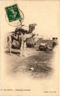 CPA AK 14 El-Goléa Chameaux Coureurs. Ed. Geiser ALGERIA (69520) - Ouargla