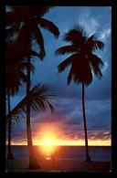 Barbados – Sunset In Barbados - Barbades