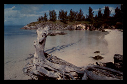 A Secluded Beach At Somerset - Bermudes