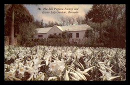 The Lili Perfume Factory And Easter Lily Gardens - Bermudes