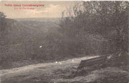 LUXEMBOURG - Petite Suisse Luxembourgeoise - Sur La Goldfralay - Carte Postale Ancienne - Autres & Non Classés