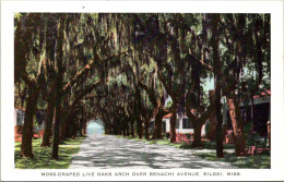 Mississippi Biloxi Moss Draped Oaks Arch Over Benachi Avenue - Altri & Non Classificati