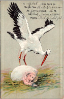 Birth Stork With Baby 1910 - Naissance