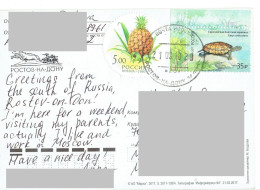 C10 :Russia - Turtle,pineapple, Tortoise, Stamps Used On Postcard - Lettres & Documents