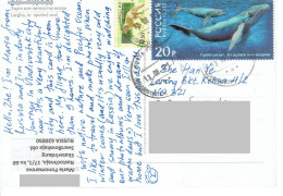 C10 :Russia - Big Whale Stamp Used On Postcard - Lettres & Documents