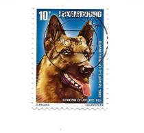 Oblitération Centrale "Ettelbruck" Sur Chien. - Used Stamps