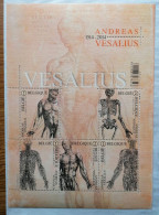 2014-1514-ANDREAS VESLIUS -19.50-14 CM-  ANATOMIE - 2011-2020