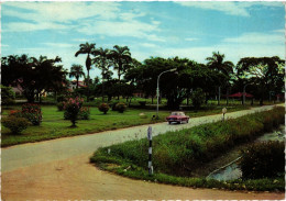 CPM SURINAME-Town View In New Nickerie (330323) - Surinam