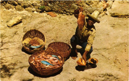 CPM Trinite Fisherman Of La Caravelle MARTINIQUE (872194) - La Trinite