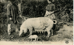 Cpa Souvenir D Excursion,un Bonjour De Toute La Famille - Andere