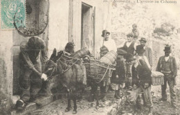 Marseille * L'arrivée Au Cabanon * Transport âne Muley Donkey * Villageois - Non Classés