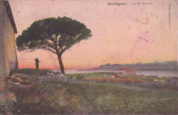 Delcampe - 13 / MARTIGUES / LE PIN BEL AIR - Martigues