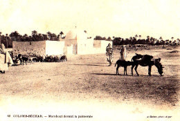 COLOMB BECHAR / MARABOUT DEVANT LA PALMERAIE - Bechar (Colomb Béchar)