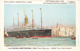 T.S.S. NIEUW AMSTERDAM * Bateau Paquebot Commerce Holland America Line * Niew Amsterdam * CPA Illustrateur - Piroscafi