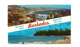 Greetings From Barbados.Expédié à Borgerhout (Belgique) - Barbades