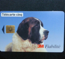 ► France :  Chien Saint-Bernard 3M Télécarte Cing - Cani