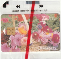 CARTE-PRIVEE-50U-EN 746--GEM-09/93-LE JARDIN DU CHEMINOT - NSB - Phonecards: Private Use