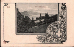 ! Ansichtskarte, Alte Postkarte, Rigi, Zahnradbahn, Schnurtobelbrücke, Schweiz - Treinen