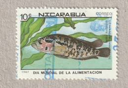 NIcaragua 1987 Jaguar Cichlid (Cichlasoma Managuense), Used, Mi 2830 - Nicaragua