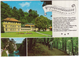 Baden Bei Wien - Franz Schulzheim, Urtelstein-Schwechatdurchbruch, Ruine Rauheneck, Wegerl - (NÖ, Österreich/Austria) - Baden Bei Wien