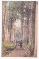 CPA 1914,  Porteurs à Chaise Et Passagère En Forêt ,  Cachet Au Dos: " Via SIBERIA Et Timbre - Altri & Non Classificati