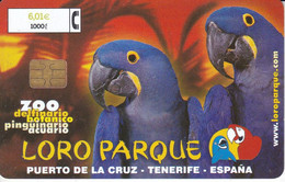 CP-234 TARJETA LOROPARQUE DE TENERIFE DE TIRADA 101300  (LORO-PARROT) - Conmemorativas Y Publicitarias