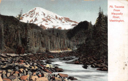 Mt. Tacoma From Nisqually River, Washington Gl. 1904 (744) - Tacoma