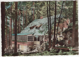 Schutzhütte Am Nebelstein, 1015 M, Im Waldviertel, N. Oe. - (NÖ, Österreich/Austria) - 1964 - Gmünd