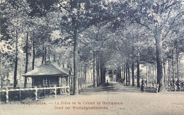 Hoogstraten Dreef Der Weldadigheidskolonie - Hoogstraten