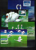 China 1983 Swans Interesting Maximum Cards - Cygnes