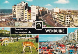 WENDUINE - Multi-vues - Oblitération De 1974 - Wenduine