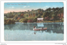 BERMUDA Vintage Postcard, Royal Palms From Paget, Bermuda - Bermuda